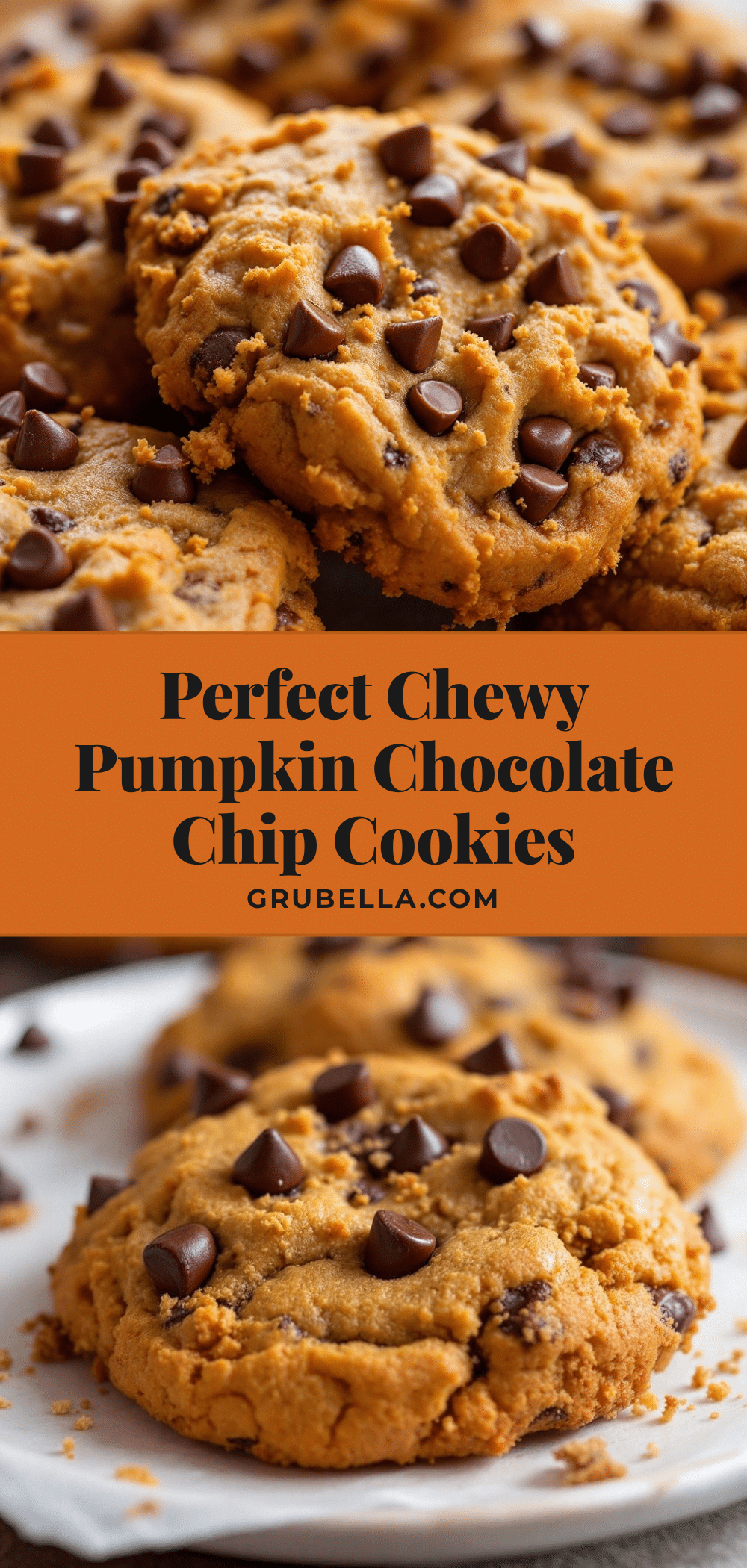 chewy pumpkin chocolate chip cookies recipe