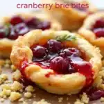 cranberry brie bites - featured image
