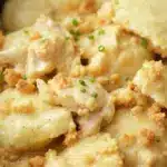 creamy crockpot chicken and dumplings - featured image
