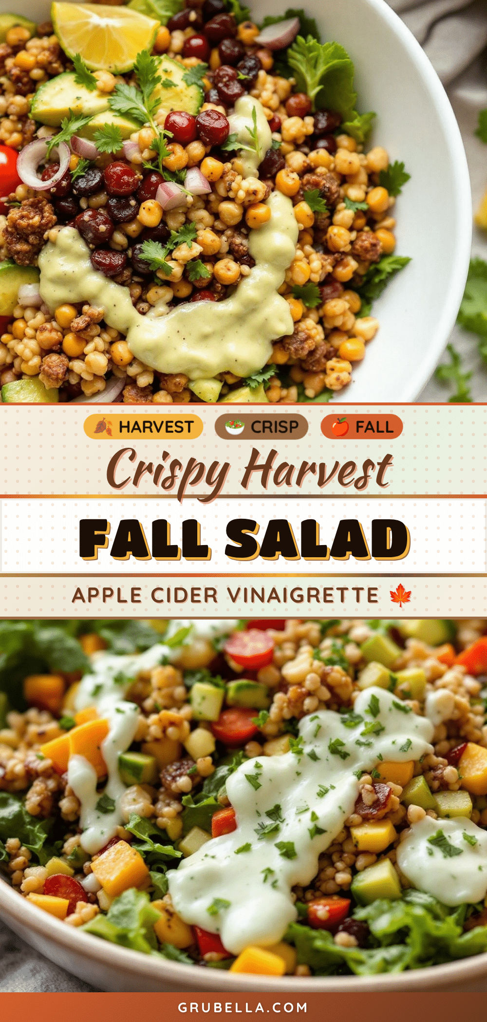 Fall harvest salad recipe