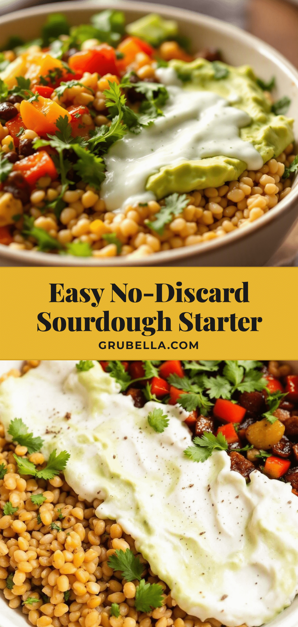 no-discard sourdough starter for beginners recipe