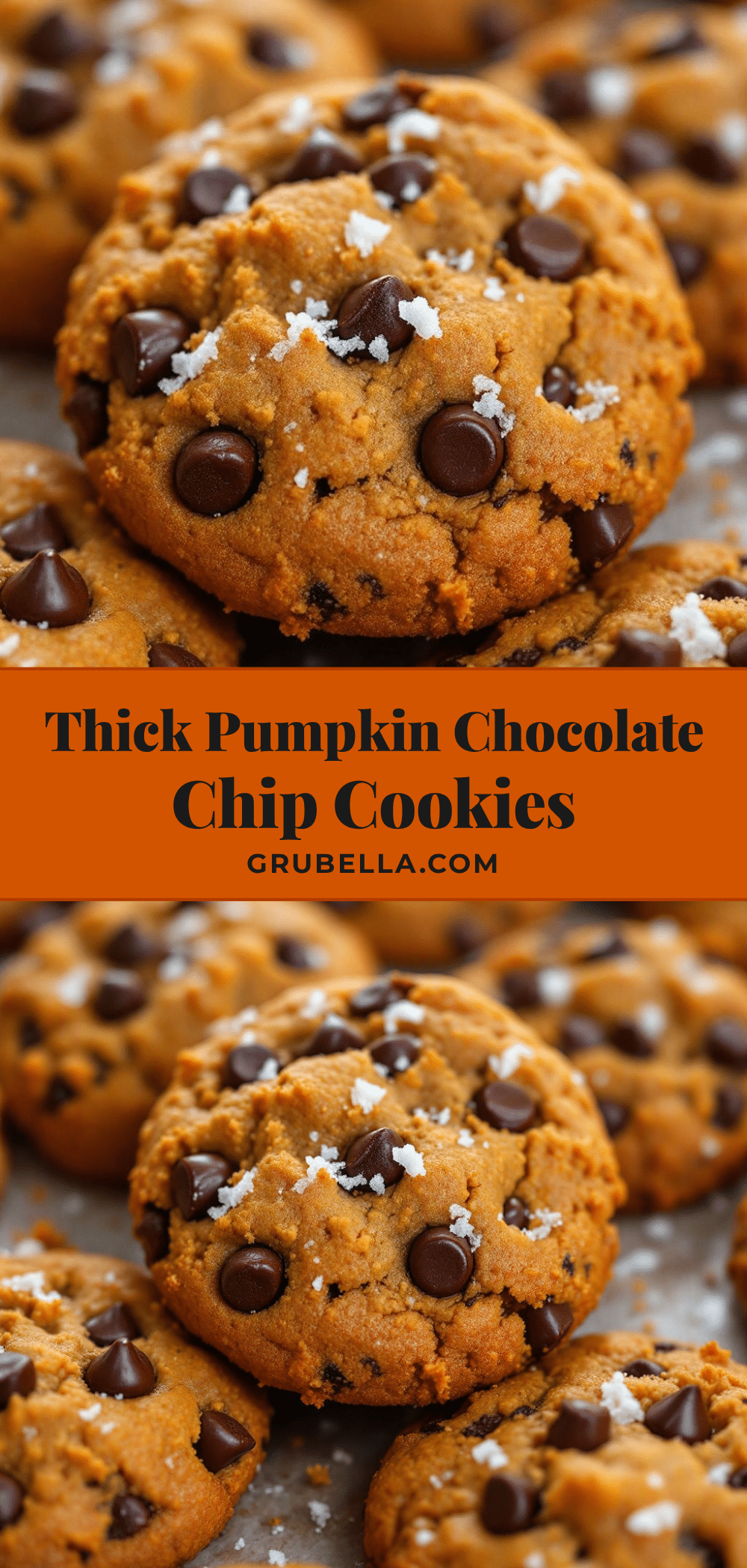 pumpkin chocolate chip cookies with sea salt recipe