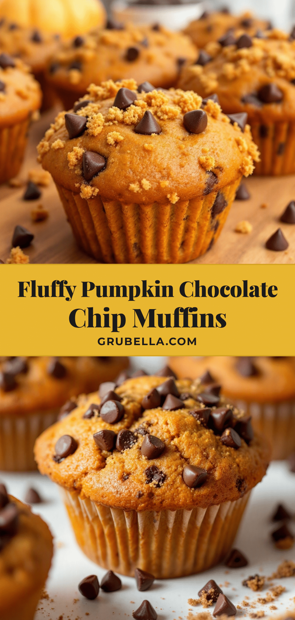 pumpkin chocolate chip muffins recipe