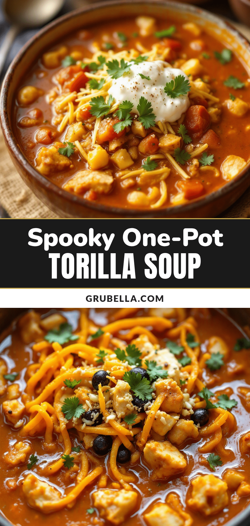 witchs brew chicken tortilla soup recipe